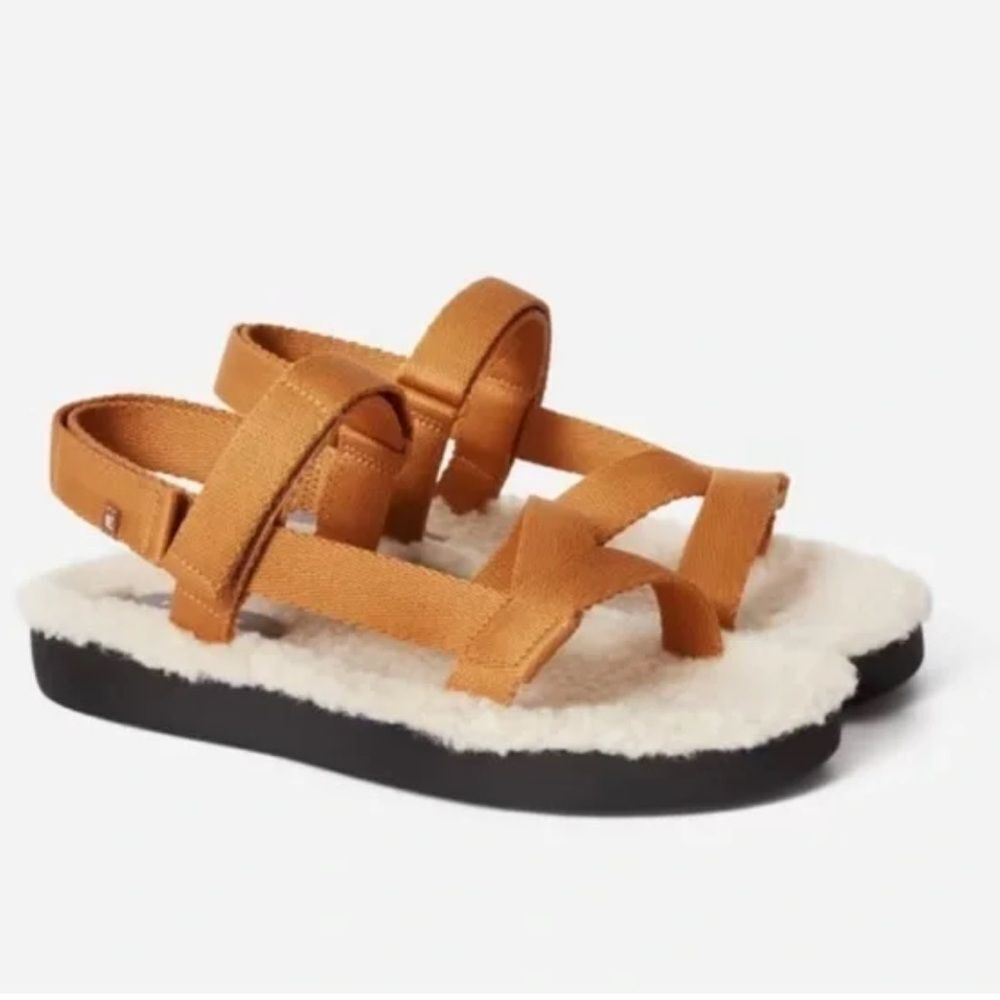 Everlane The Renew Teddy Sport Sandals 6